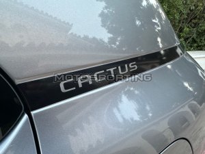 Citroen C4 Cactus ΜΕ ΑΠΟΣΥΡΣΗ!!! ’19 20/20